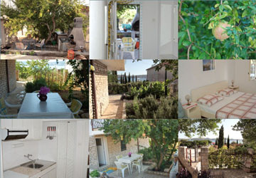 Apartment 6